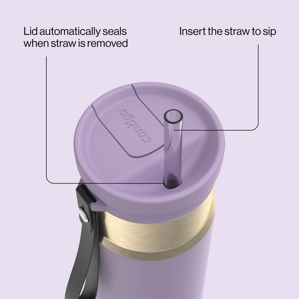 24oz-snapsealtm-bottle-d3 bevt0009_contigo_2231080_snapseal_24oz_straw_purplecarrot_atf4